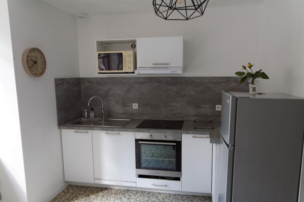 Villa Jean Julien - Le Sancy - Appartement T3 - 65M2 - 8 Personnes Le Mont-Dore Bagian luar foto