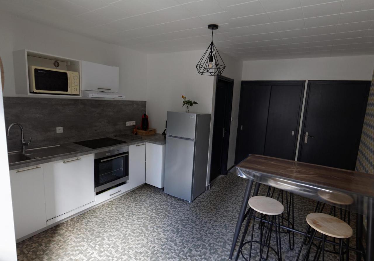 Villa Jean Julien - Le Sancy - Appartement T3 - 65M2 - 8 Personnes Le Mont-Dore Bagian luar foto