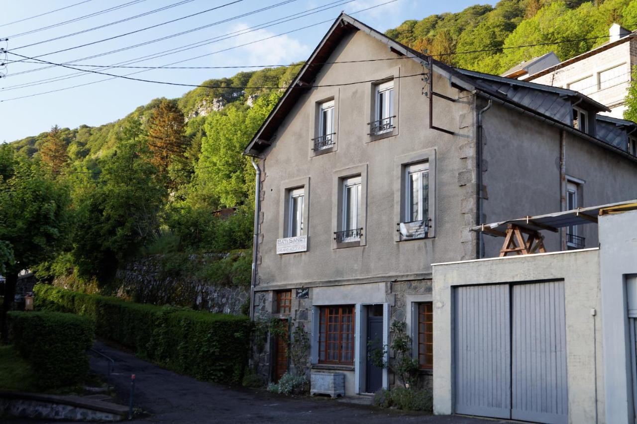 Villa Jean Julien - Le Sancy - Appartement T3 - 65M2 - 8 Personnes Le Mont-Dore Bagian luar foto