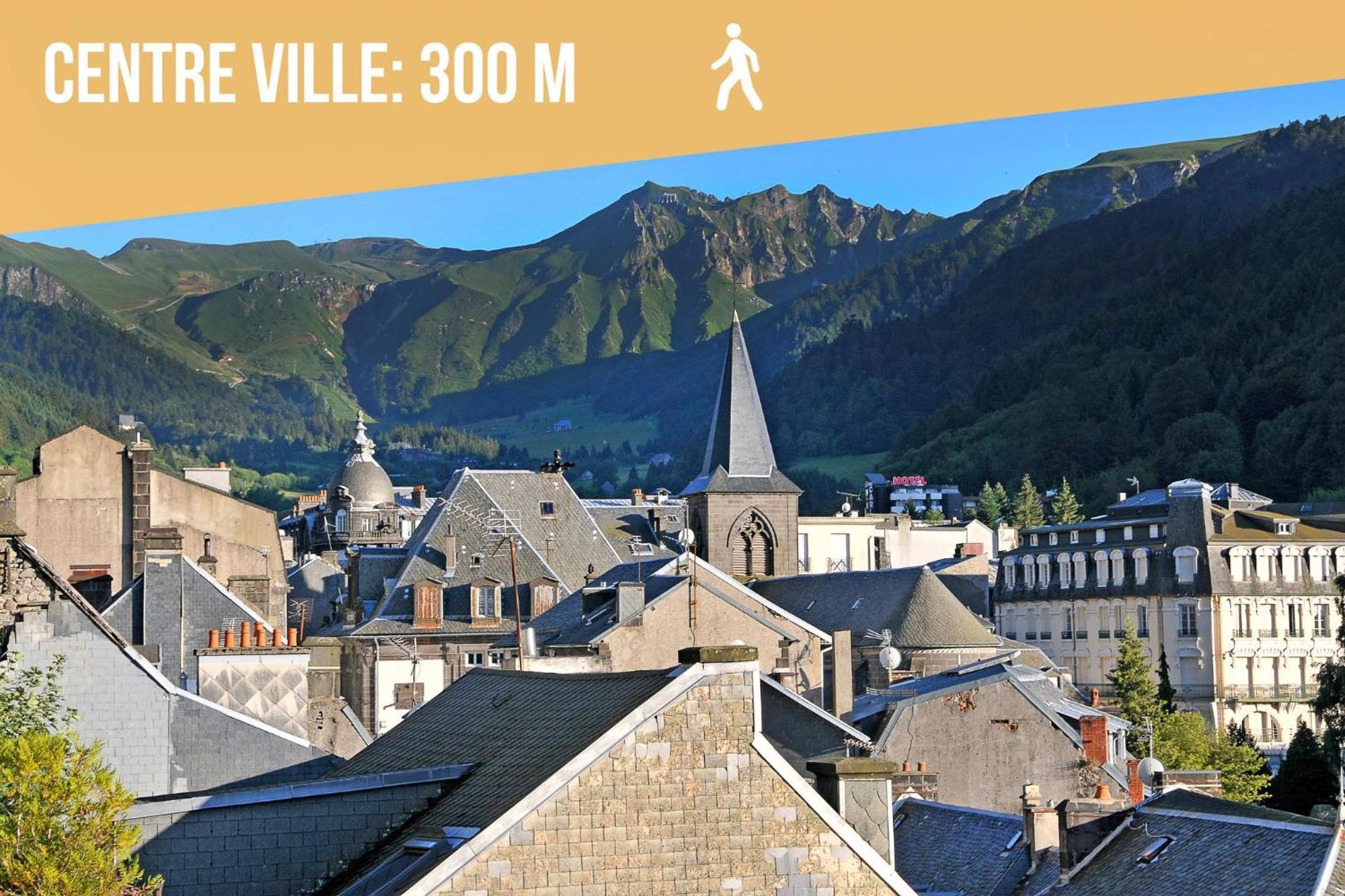 Villa Jean Julien - Le Sancy - Appartement T3 - 65M2 - 8 Personnes Le Mont-Dore Bagian luar foto